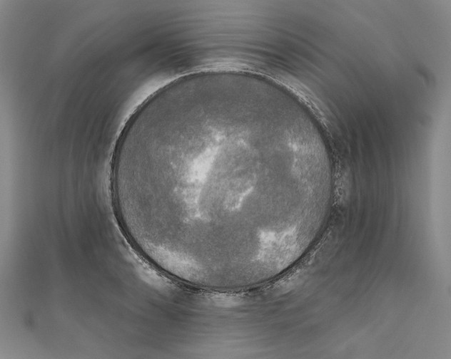 X0000111171086200907221023