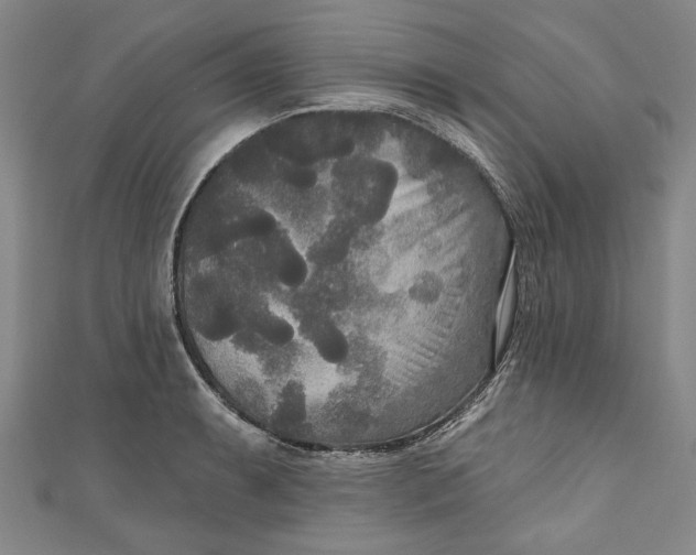 X0000111171087200907221023