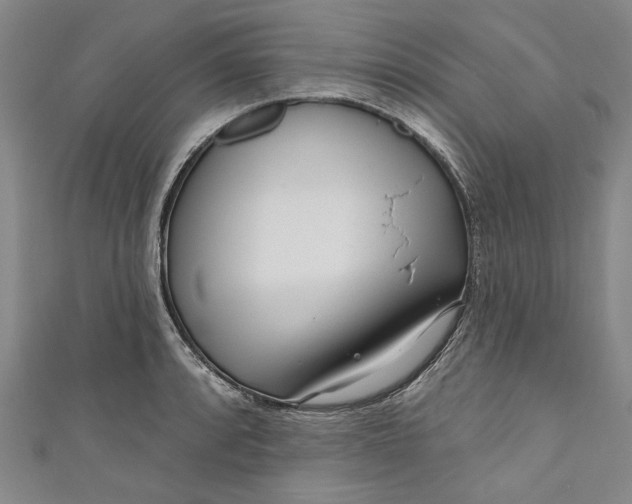 X0000111171088200907221023