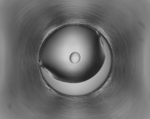 X0000111171089200907221023