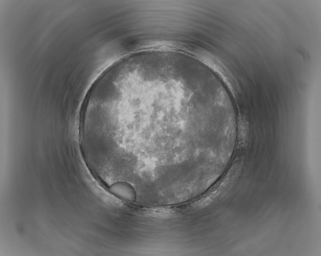 X0000111171090200907221023