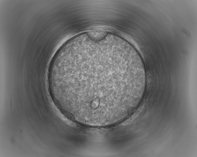 X0000111171091200907221023