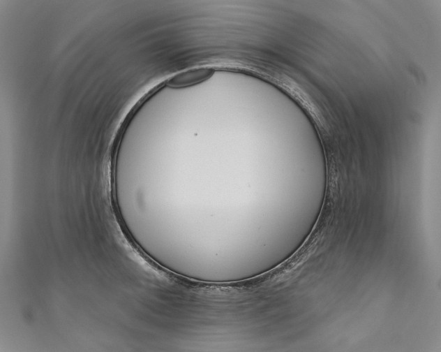 X0000111171092200907221023