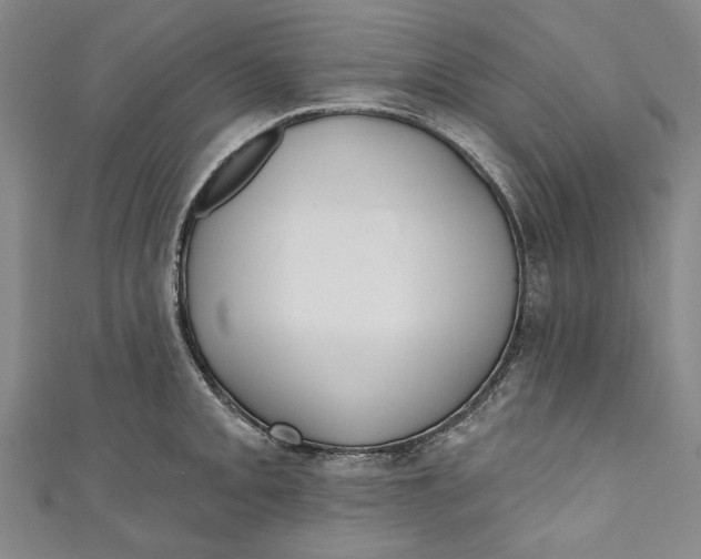 X0000111171093200907221023