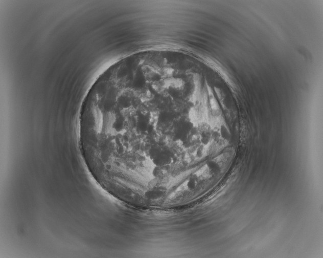 X0000111171095200907221023