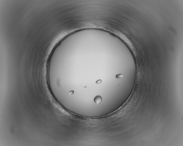 X0000111171096200907221023