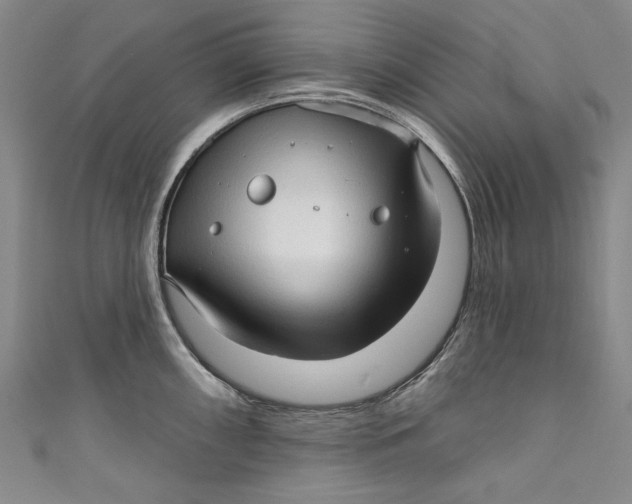 X0000111171098200907221023