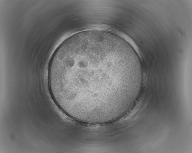 X0000111171099200907221023