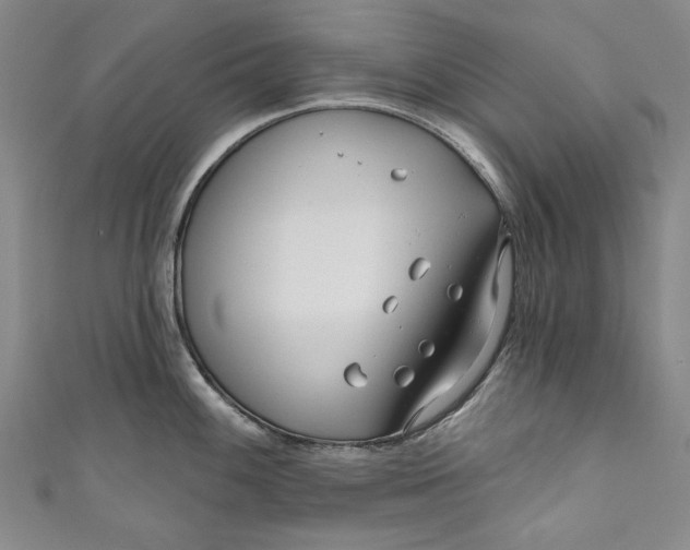 X0000111171100200907221023