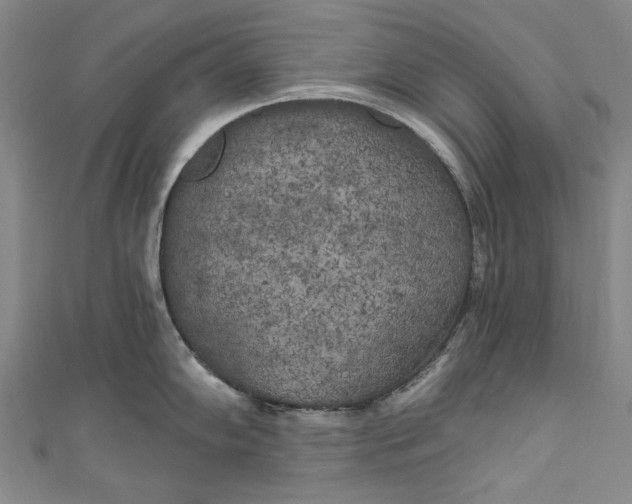 X0000111171102200907221023