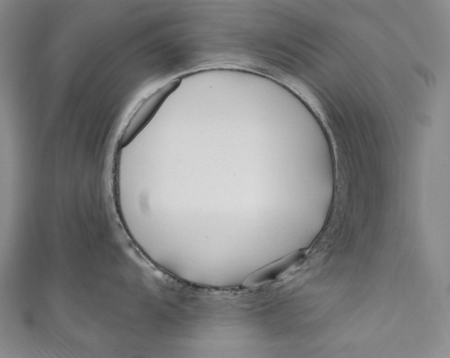 X0000111171104200907221023