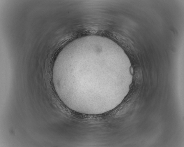 X0000111171105200907221022