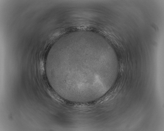 X0000111171106200907221022