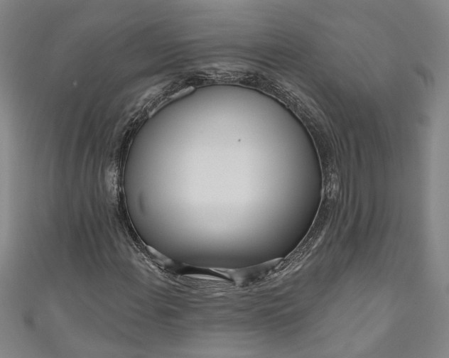 X0000111171108200907221022