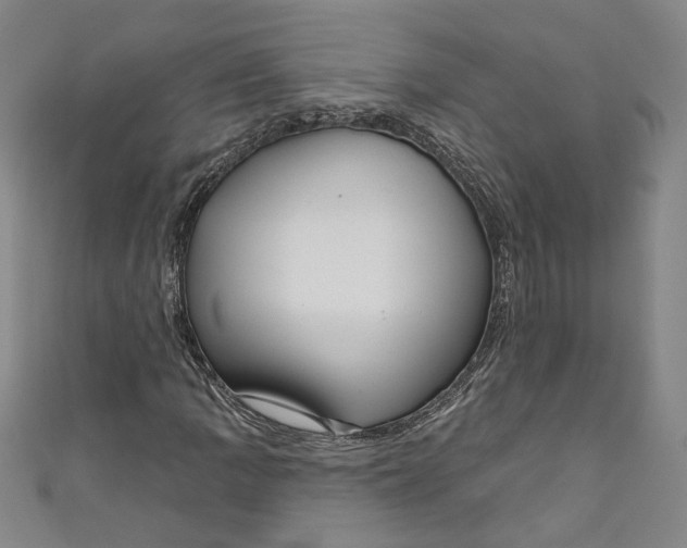 X0000111171109200907221022