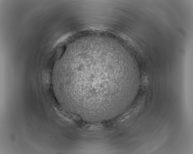 X0000111171110200907221022