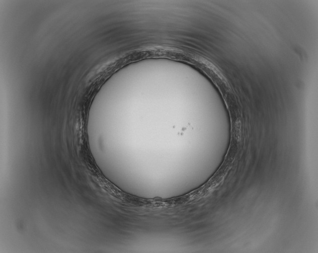 X0000111171111200907221022