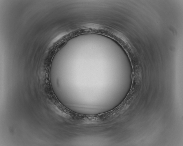 X0000111171112200907221022