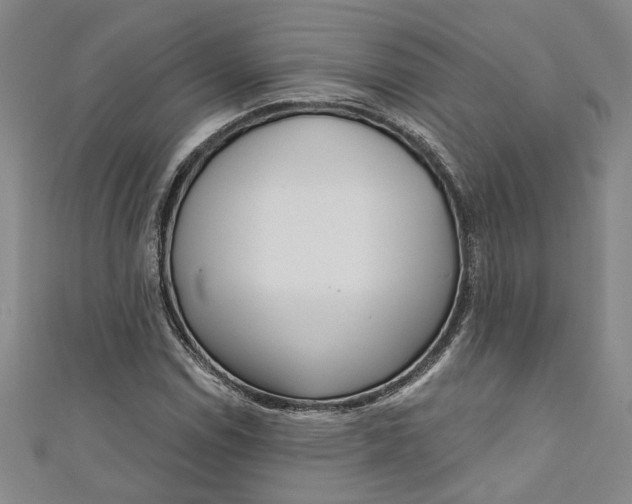 X0000111171114200907221022