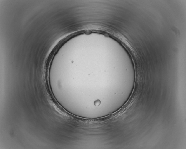 X0000111171116200907221022