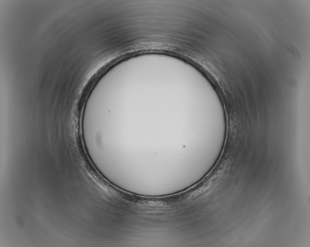 X0000111171119200907221022