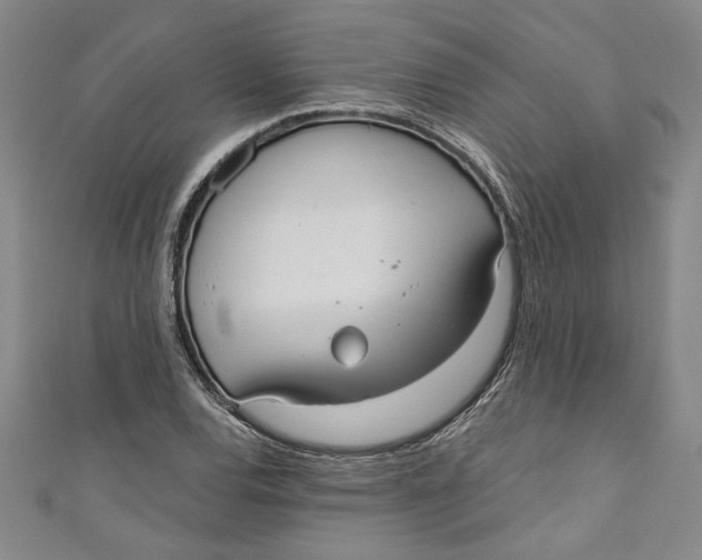 X0000111171120200907221022