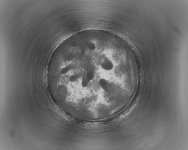 X0000111171121200907221022