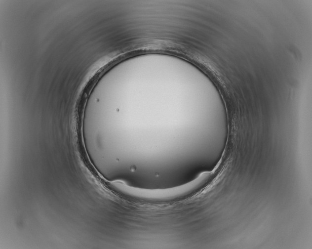 X0000111171122200907221022