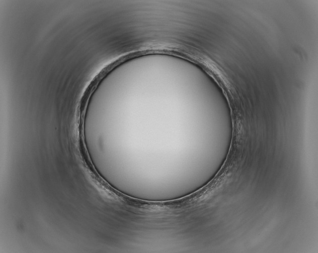 X0000111171124200907221022