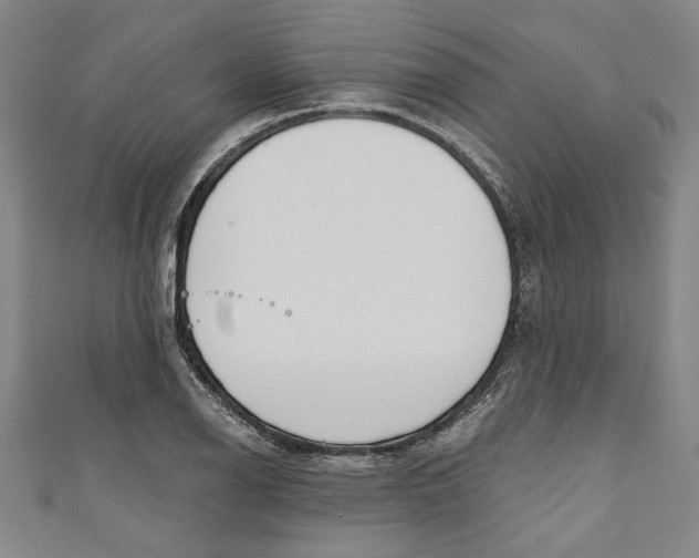 X0000111171126200907221022