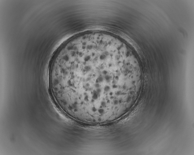 X0000111171127200907221022