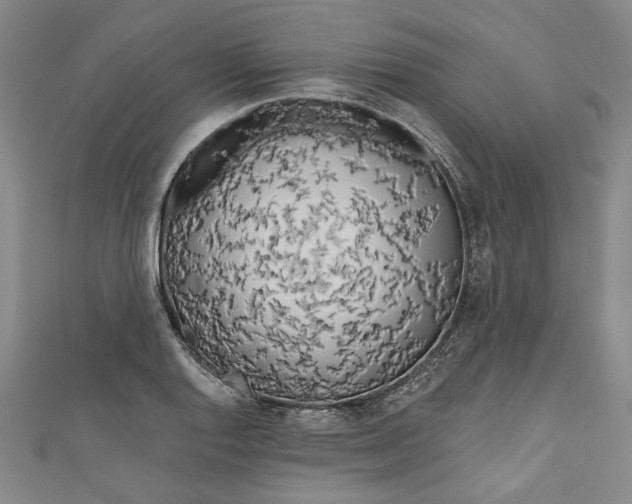 X0000111171128200907221022