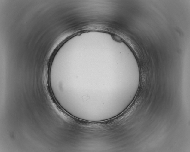 X0000111171131200907221022