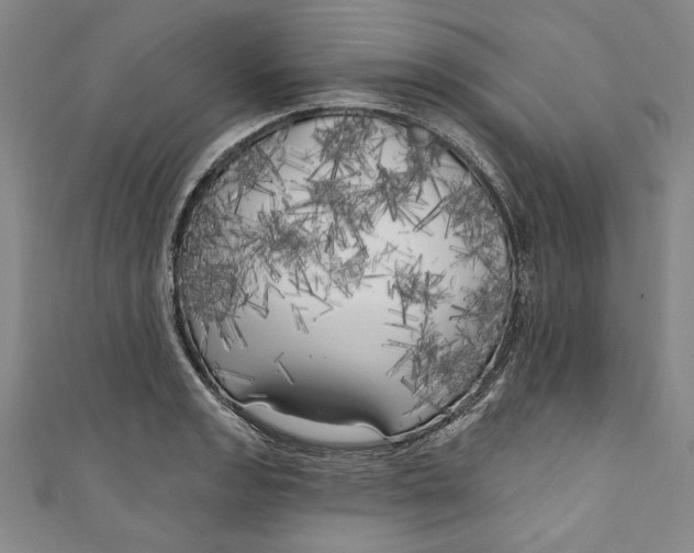 X0000111171133200907221022