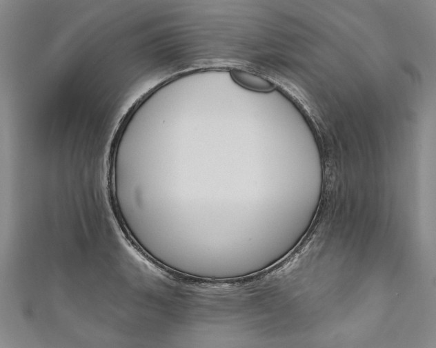 X0000111171135200907221022