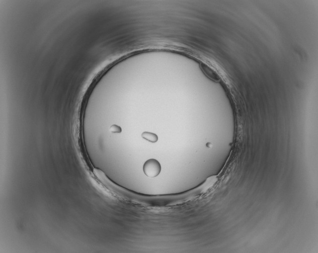 X0000111171136200907221022