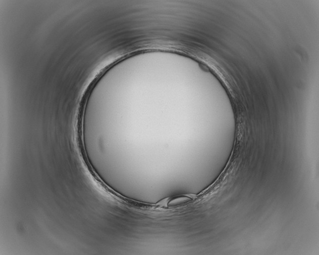 X0000111171139200907221022