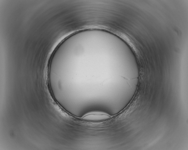 X0000111171140200907221022