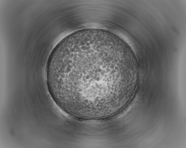 X0000111171141200907221022