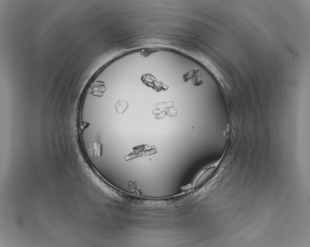 X0000111171142200907221022