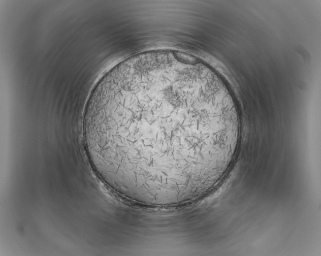 X0000111171145200907221023