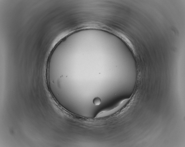 X0000111171146200907221023