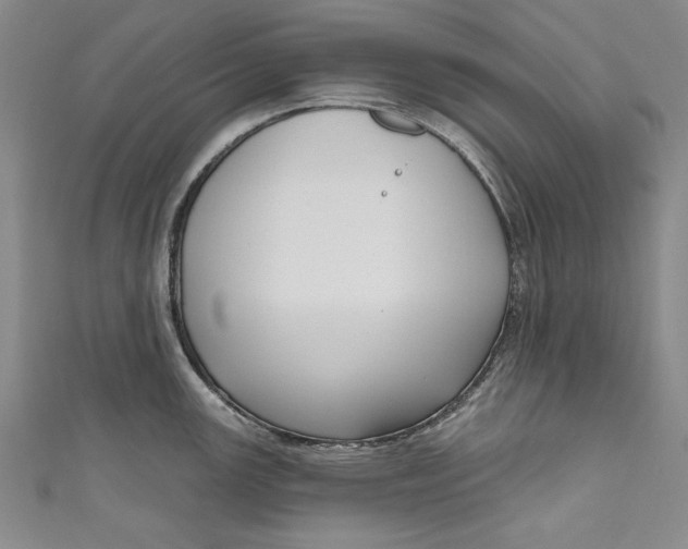 X0000111171147200907221023