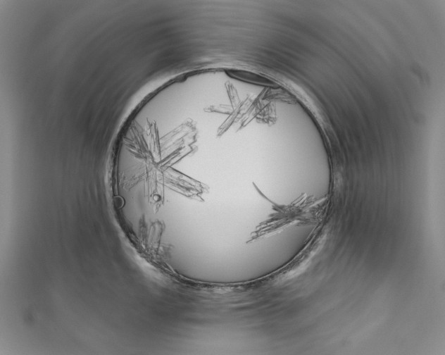 X0000111171149200907221023