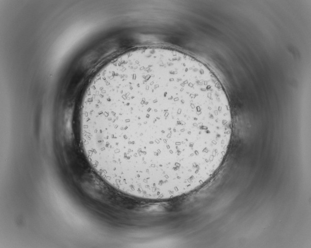 X0000111171150200907221023