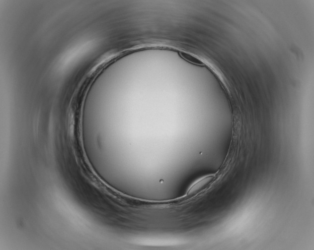 X0000111171151200907221023