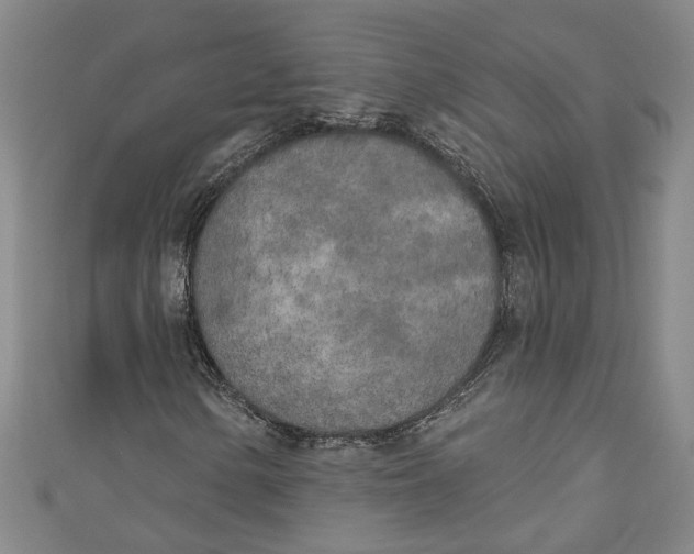 X0000111171154200907221022