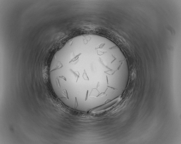 X0000111171156200907221022