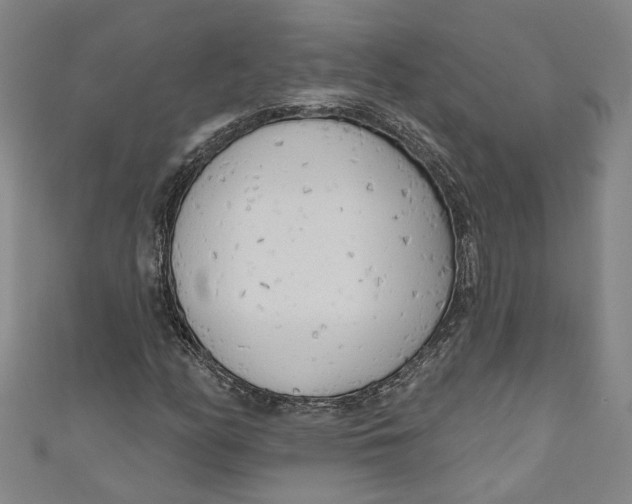 X0000111171158200907221022