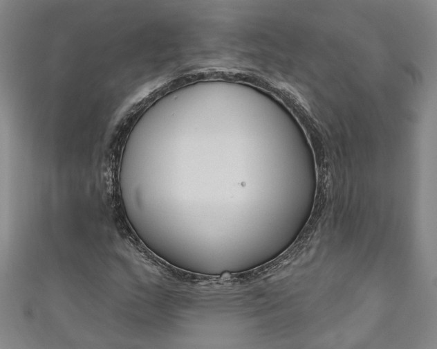 X0000111171159200907221022